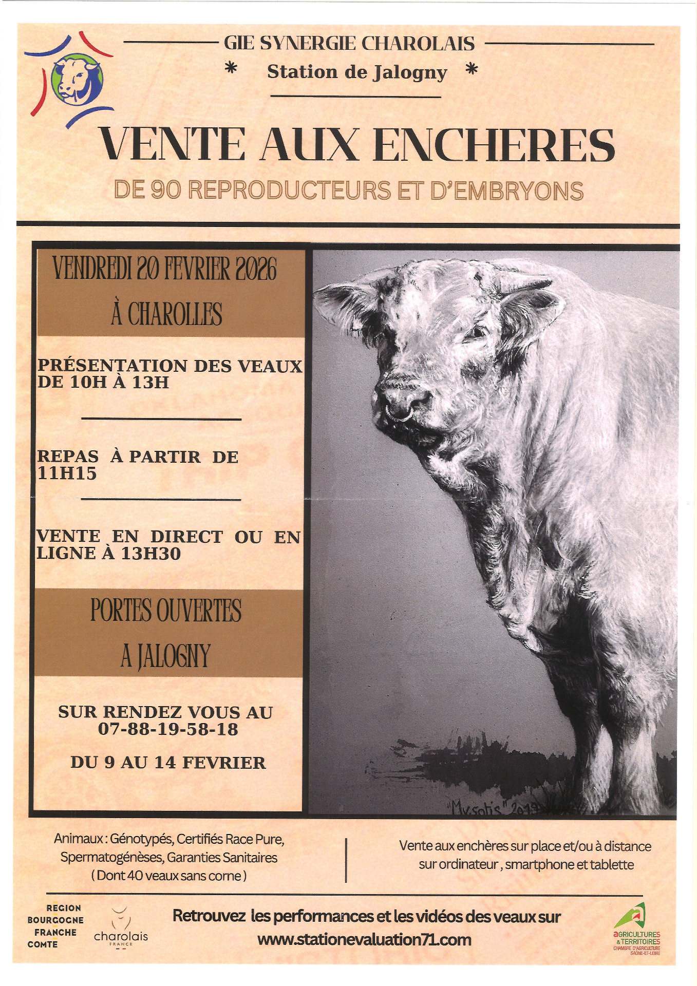 👉Vente aux enchères de Reproducteurs Charolais