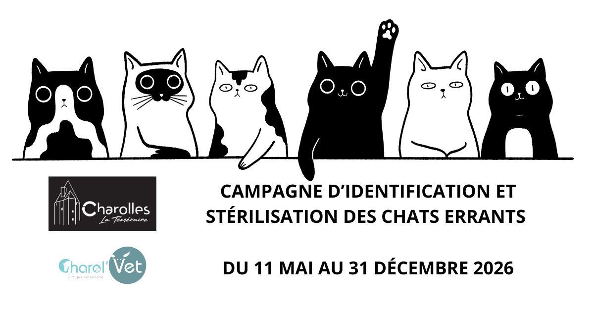 Vous trouverez en pièce jointe l’arrêté de Monsieur le Maire portant sur l’autorisation de capture des chats errants sur le territoire de la Commune de Charolles pour stérilisation et identification. 